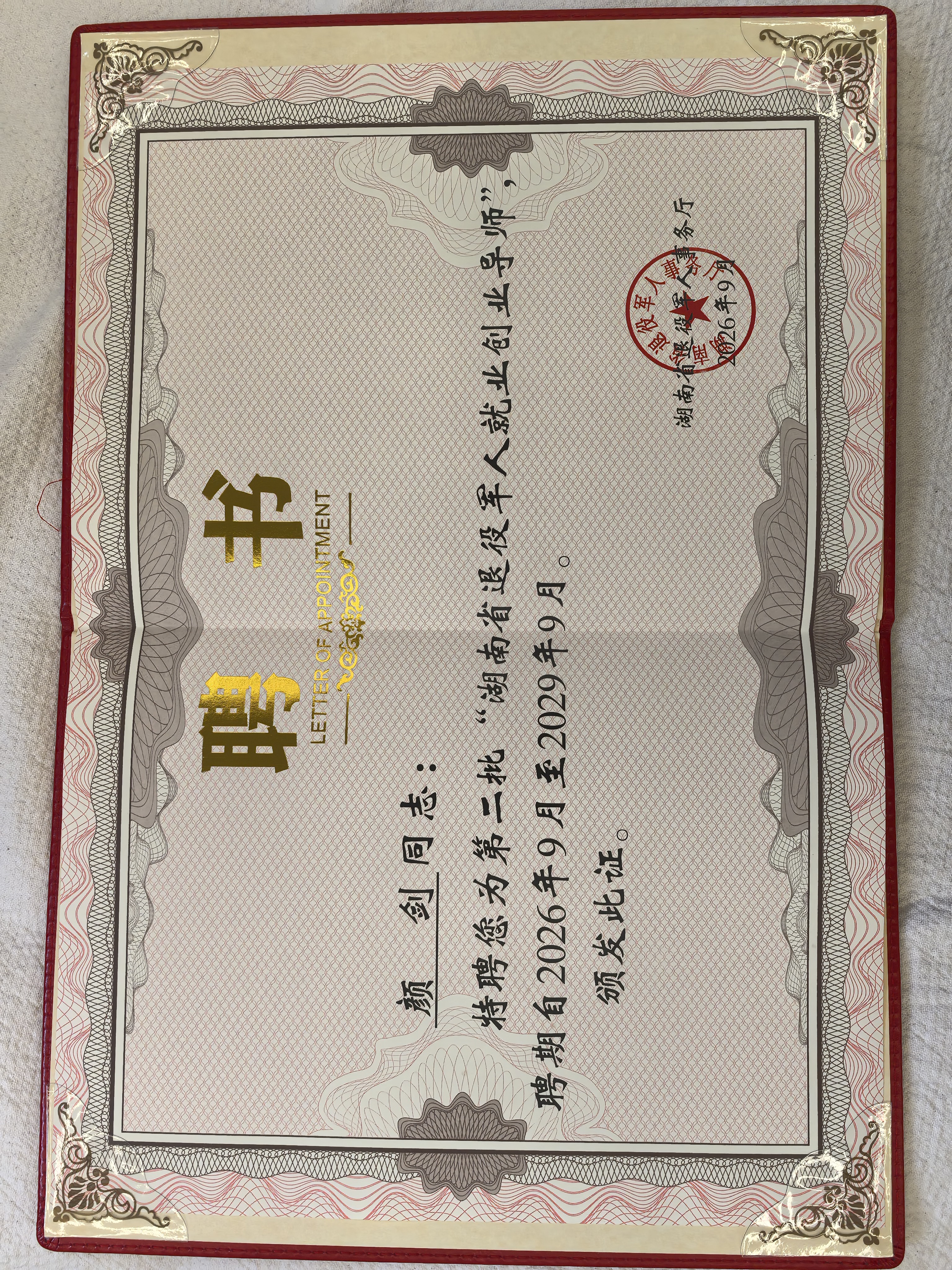 董事长颜剑先生当选：第二批湖南省退役军人就业创业导师
